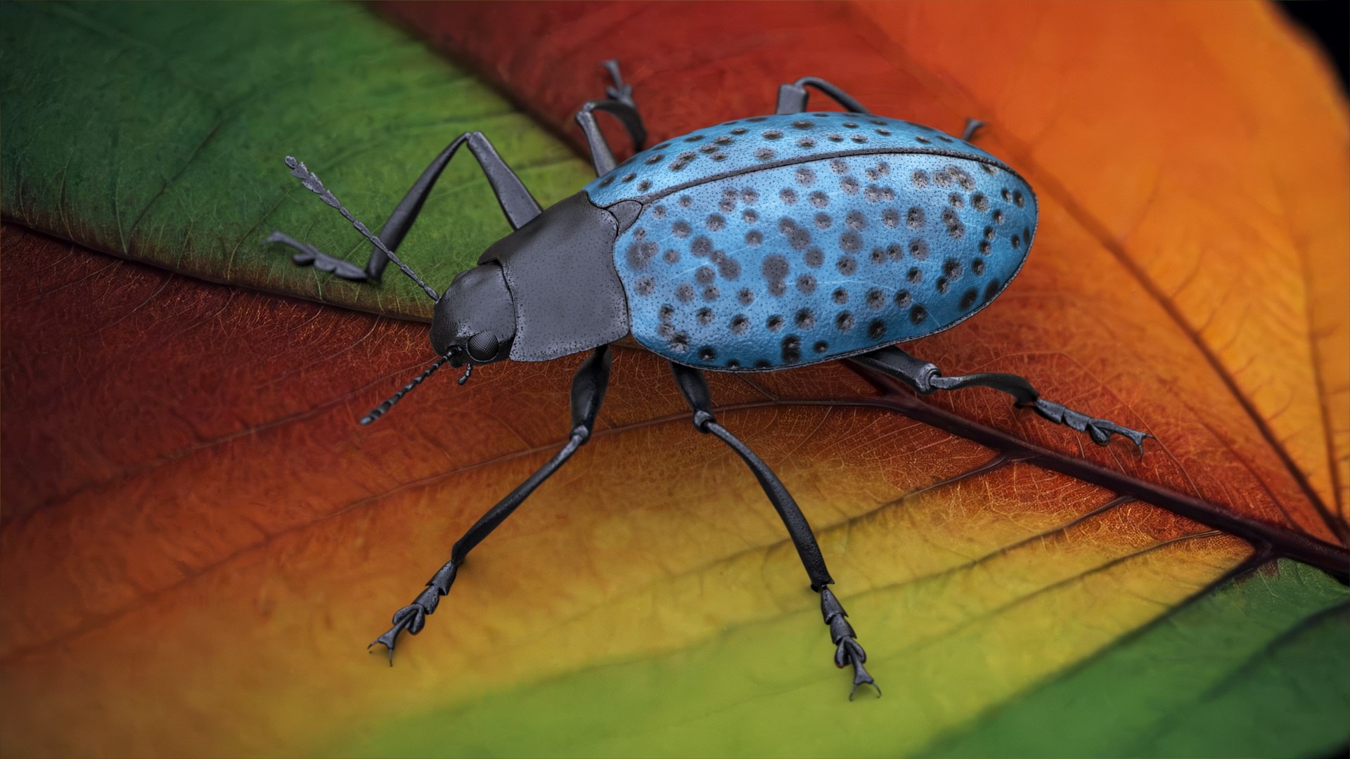 3D Blue Pleasing Fungus Beetle https://p.turbosquid.com/ts-thumb/5r/u9eJlm/ii/bluepleasingfungusbeetlemb3dmodel001/jpg/1729747087/1920x1080/fit_q87/5157024f0f46788466fea49a079402813c0f2931/bluepleasingfungusbeetlemb3dmodel001.jpg
