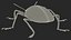 Blue Pleasing Fungus Beetle