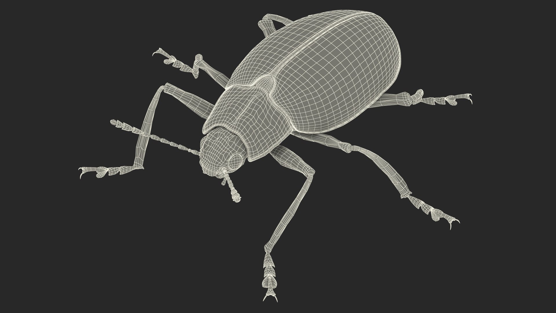 3D Blue Pleasing Fungus Beetle https://p.turbosquid.com/ts-thumb/5r/u9eJlm/vV/bluepleasingfungusbeetlemb3dmodel019/jpg/1729747390/1920x1080/fit_q87/8763c71583182fd16eca6c126fc11fdead8472bb/bluepleasingfungusbeetlemb3dmodel019.jpg