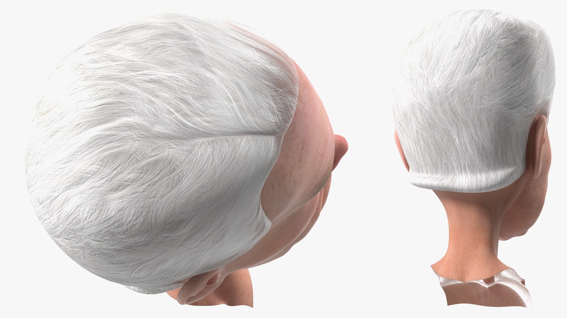 Cartoon Joe Biden Head Rigged for Cinema 4D 3D model https://p.turbosquid.com/ts-thumb/5r/uvYGLi/PH/cartoonjoebidenheadriggedmb3dmodel013/jpg/1631086963/1920x1080/fit_q87/1452bd236ac7784673d87ebe68a33394eb75288b/cartoonjoebidenheadriggedmb3dmodel013.jpg
