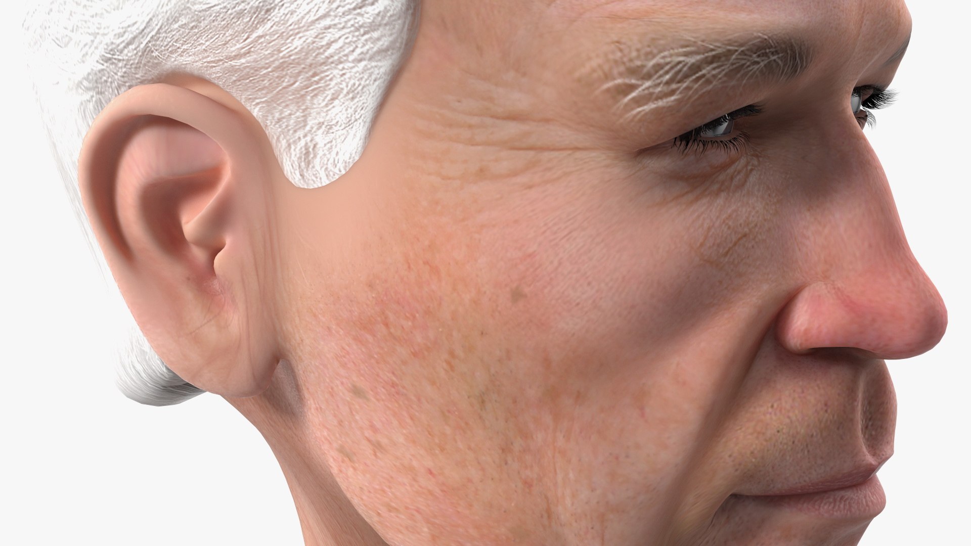 Cartoon Joe Biden Head Rigged for Cinema 4D 3D model https://p.turbosquid.com/ts-thumb/5r/uvYGLi/SG/cartoonjoebidenheadriggedmb3dmodel011/jpg/1631086957/1920x1080/fit_q87/747a236d59635e07d15841d610832eef284c045c/cartoonjoebidenheadriggedmb3dmodel011.jpg