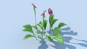 plant flower 3D model