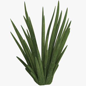 green flax 3D