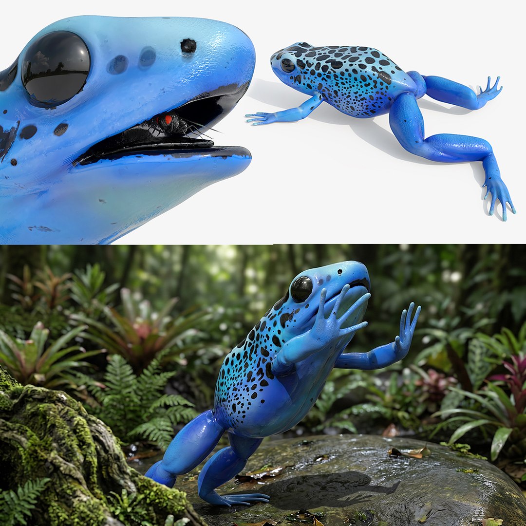 3D Blue Poison Dart Frog Set Animated Rigged For Maya https://p.turbosquid.com/ts-thumb/5s/2peYwD/10/blue_poison_dart_frog_set_animated_rigged_for_maya_001/jpg/1780257181/1920x1080/fit_q87/d682c47a83d5756de65f6d9698805900b6908986/blue_poison_dart_frog_set_animated_rigged_for_maya_001.jpg