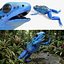 Grenouille à flèches empoisonnées bleues, ensemble animé et riggé pour Maya