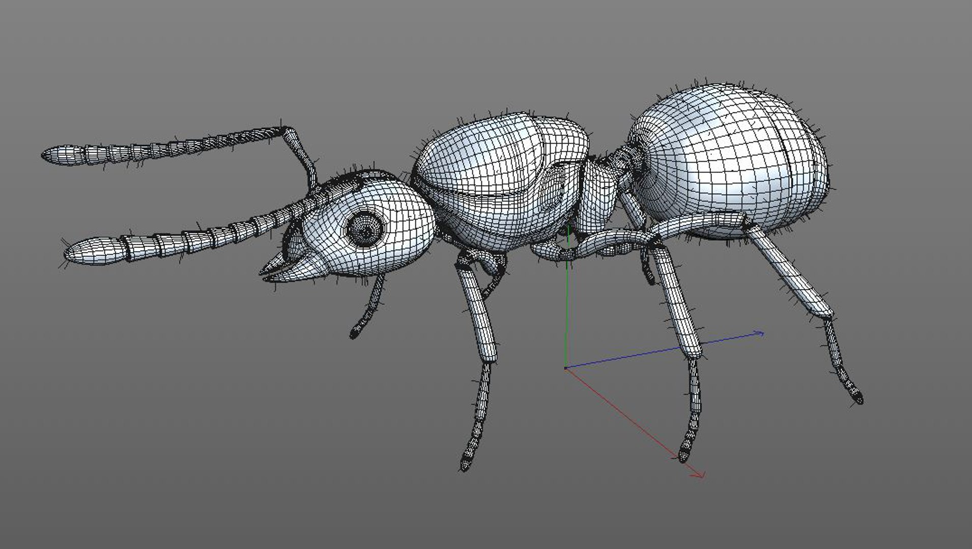 3D model rigged https://p.turbosquid.com/ts-thumb/5s/4yW8sm/92GACrgQ/ant12/jpg/1586178549/1920x1080/fit_q87/46c7b868eb778c9c2dee796c6772b4c68d17d050/ant12.jpg
