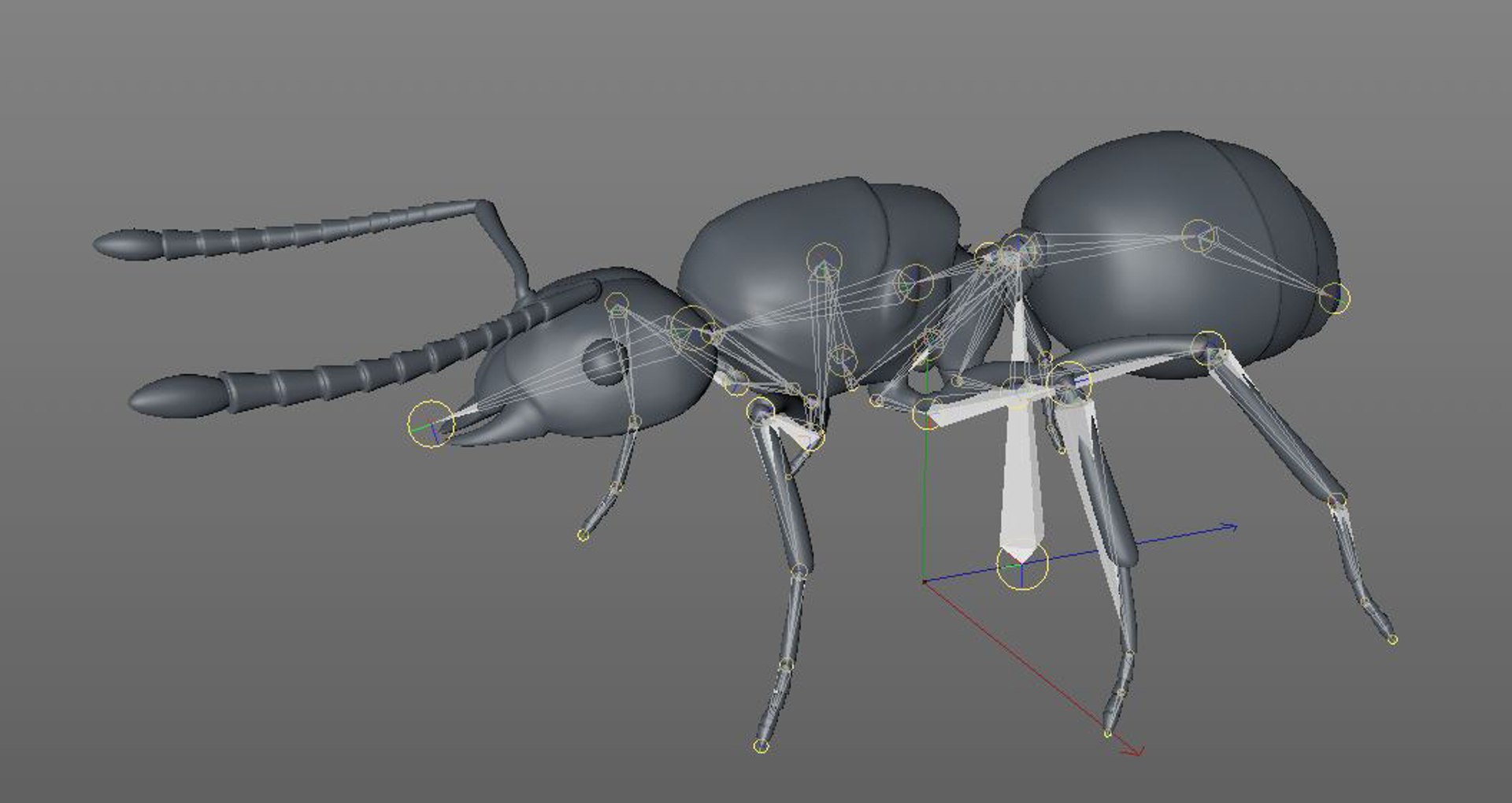 3D model rigged https://p.turbosquid.com/ts-thumb/5s/4yW8sm/W3trUlX4/ant13/jpg/1586178549/1920x1080/fit_q87/4dd506970b0a0609978ca2ebc42b58e8a3bbd381/ant13.jpg