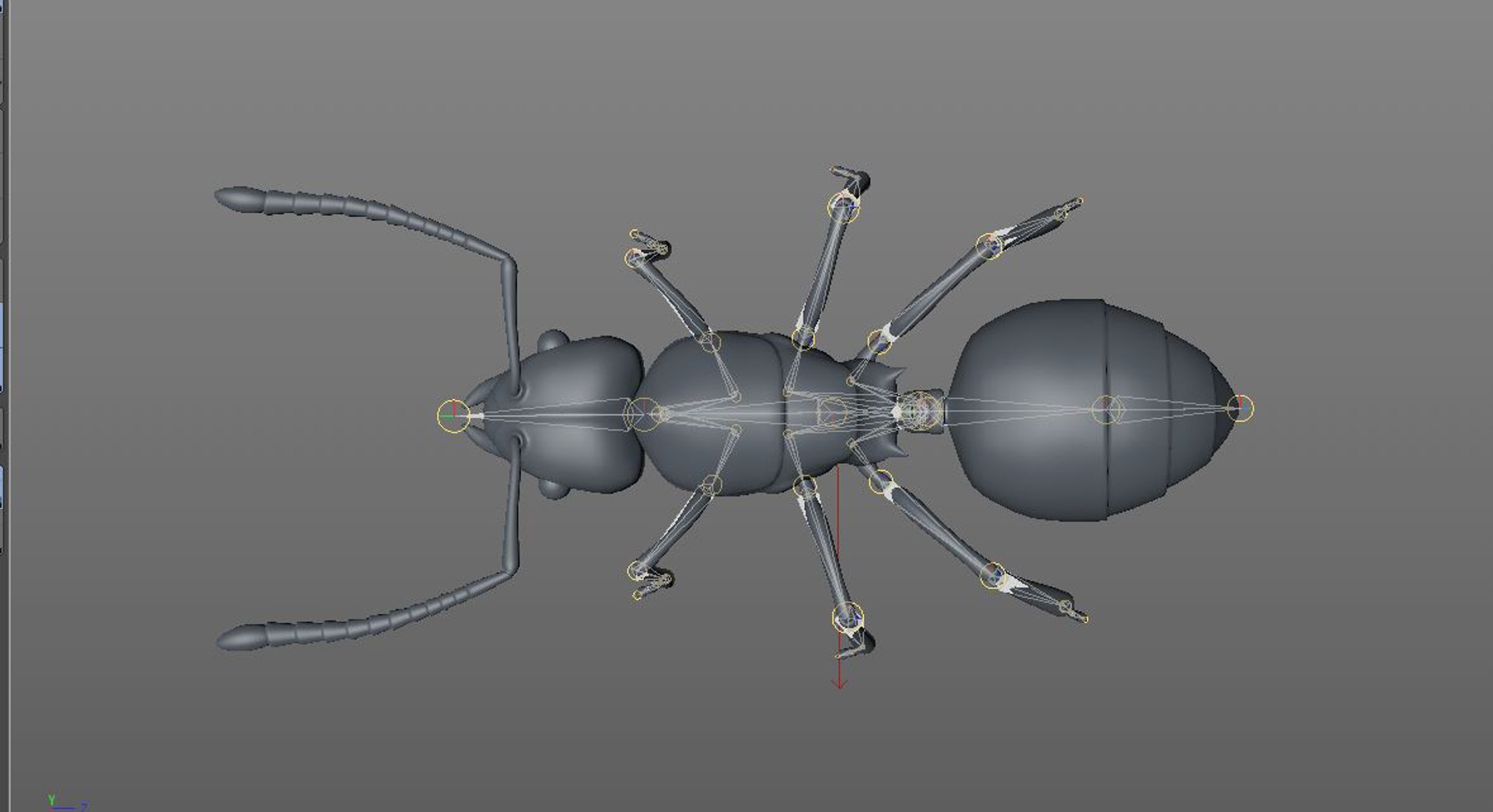 3D model rigged https://p.turbosquid.com/ts-thumb/5s/4yW8sm/qzp4BfmN/ant1/jpg/1586178549/1920x1080/fit_q87/e1f2cbbd96df983974aa63cdb6b7821cb1ae7426/ant1.jpg