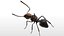 Ant Insect Rigged