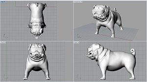 cool pug 3d model