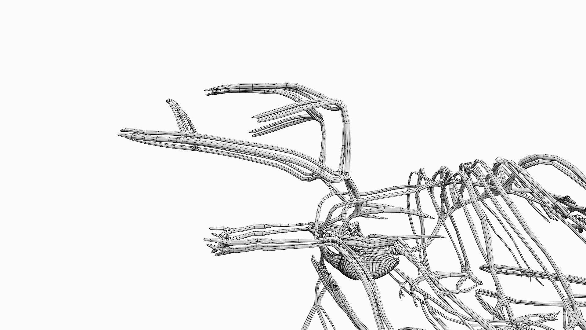 Frog Body  Skeleton and Vascular System Static 3D model https://p.turbosquid.com/ts-thumb/5s/NOXMSk/iu/frog_anatomy_wire_vascular0005/jpg/1654344599/1920x1080/fit_q87/e10f78a5d1ed8643c7792411ec90ca6ccf9d5c96/frog_anatomy_wire_vascular0005.jpg