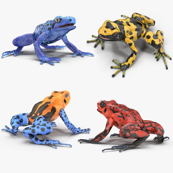 3d Poison Dart Frog Model