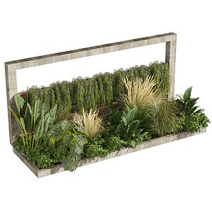 plant vol 806 - garden - palm - grass - leaf 3D model