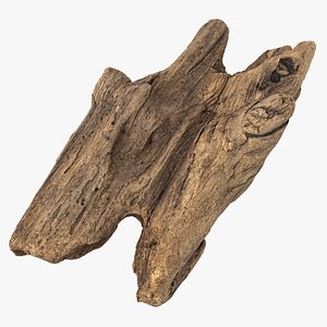 3D Broken Driftwood Piece 02