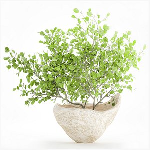 Realistic green floral bouquet branches leaves decor vase 667 3D model