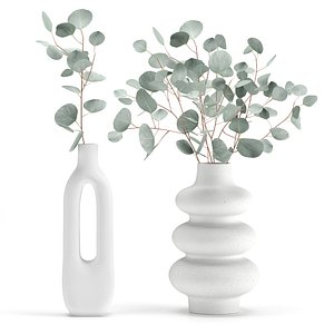 Eucalyptus in a vase set1 3D