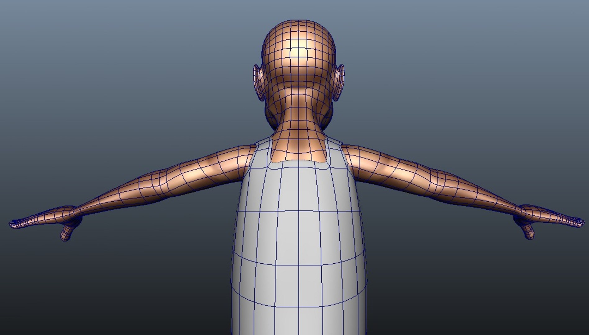 3d old hunter rigged human model https://p.turbosquid.com/ts-thumb/5s/pSiz04/5Zvox0KY/bone5/jpg/1354862110/1920x1080/fit_q87/74d6ab6b08db38221a34de6730f26c517eb179ee/bone5.jpg