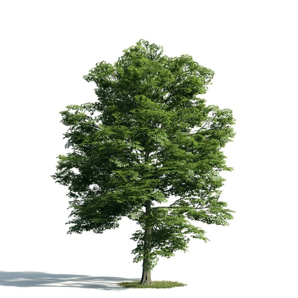 3d archmodels vol 171 trees