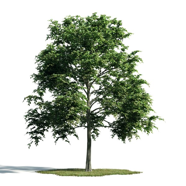 3d archmodels vol 171 trees