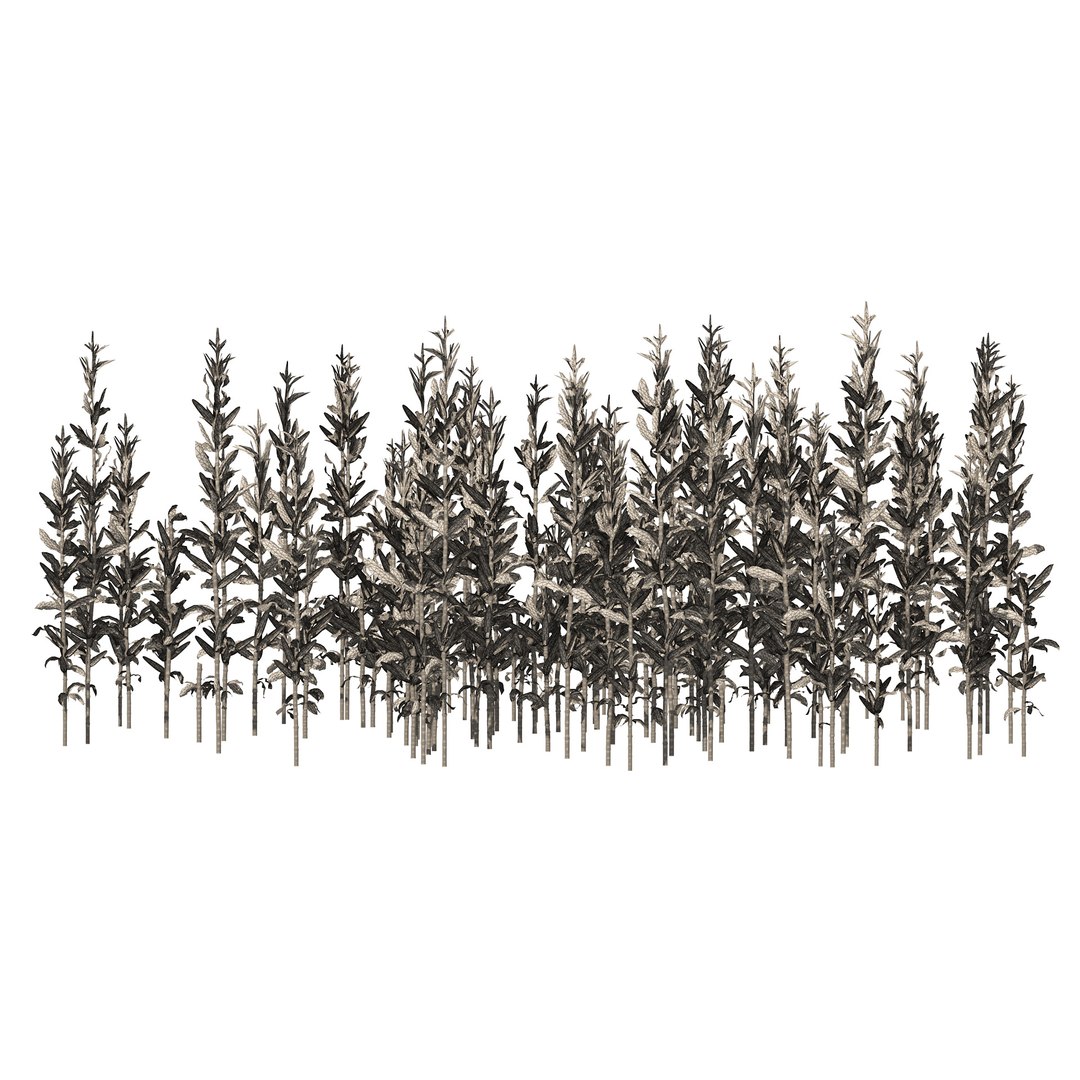 3D model Corn field cluster https://p.turbosquid.com/ts-thumb/5t/9urIhE/Xb/wire/jpg/1666570837/1920x1080/fit_q87/830a979c3e12042c178975953fd4cf0fecb75aa9/wire.jpg