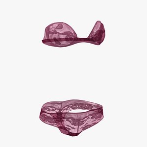 Underwear Bra Panties