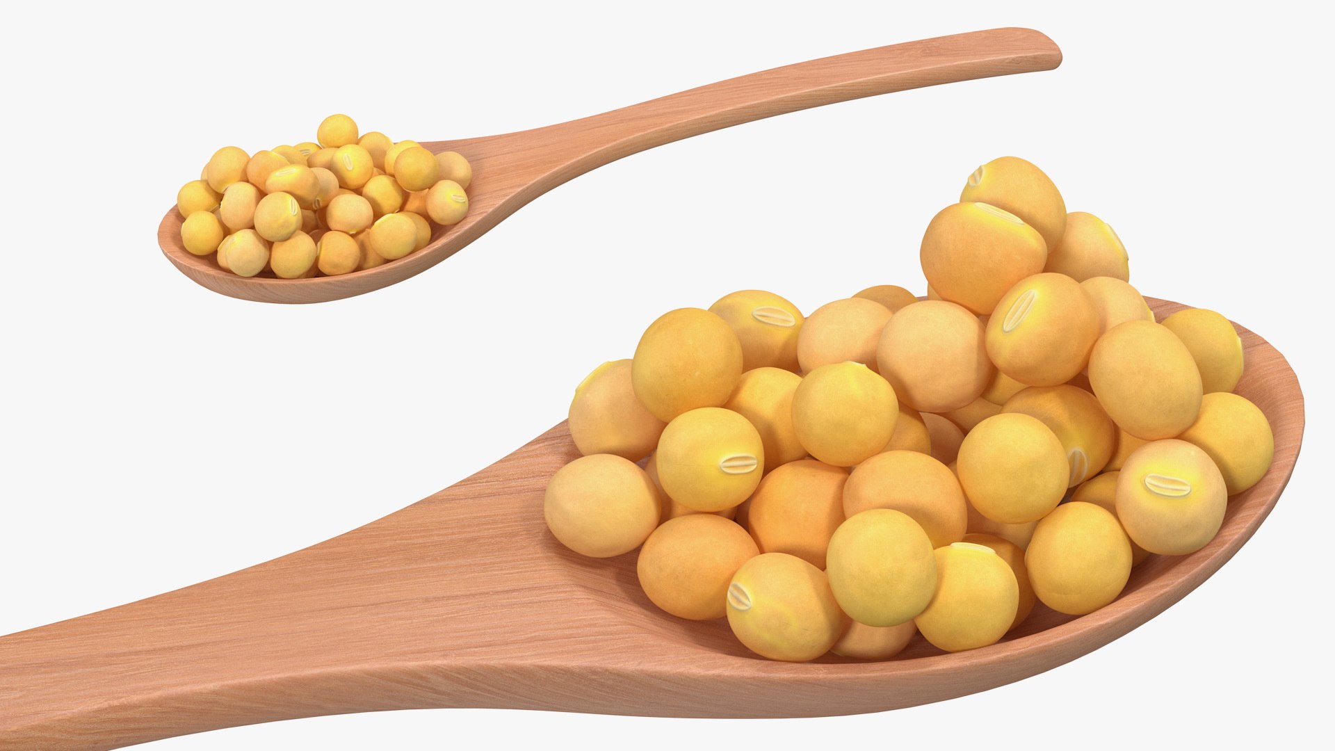 Soy Beans in Wooden Spoon 3D model preview