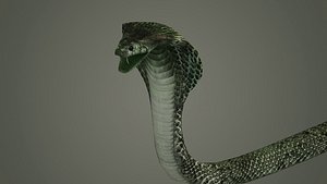snake reptile snakes serpent python anaconda mamba cobra