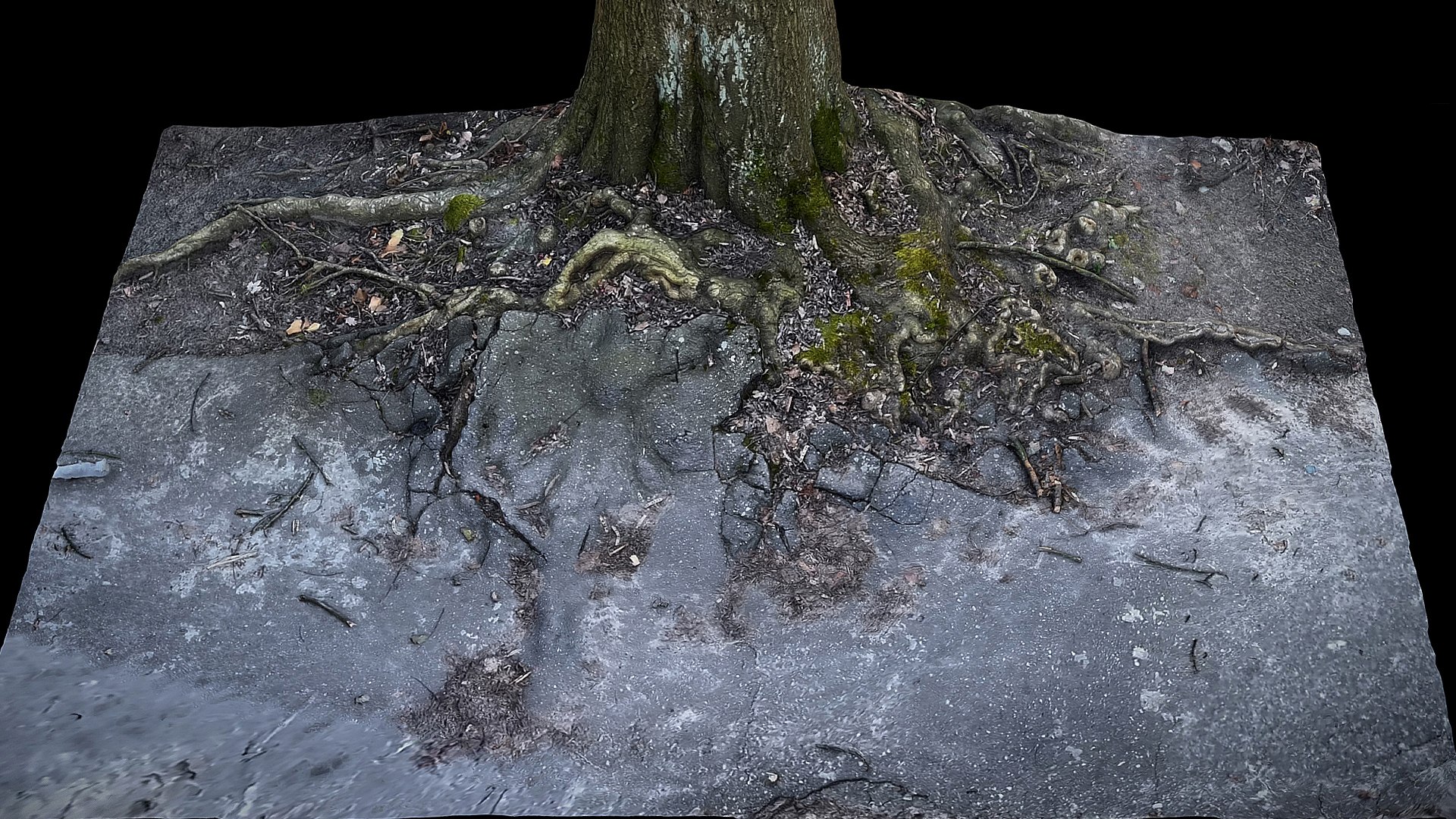 Tree Roots Road Asphalt Debris Part2 Photogrammetry 3D Model ...