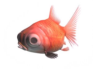 3d fish aquarium