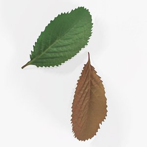 3D Leaf Pack Stell Agro