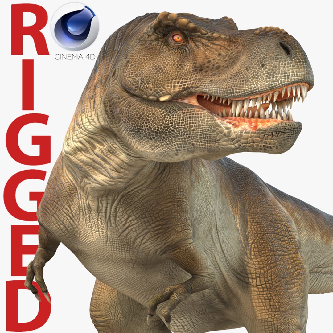 Tyrannosaurus Rex Rigged for Cinema 4D 3D model preview