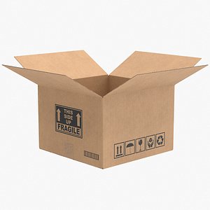 Cardboard Box 4 Open V1