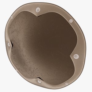 bronze shield 3D