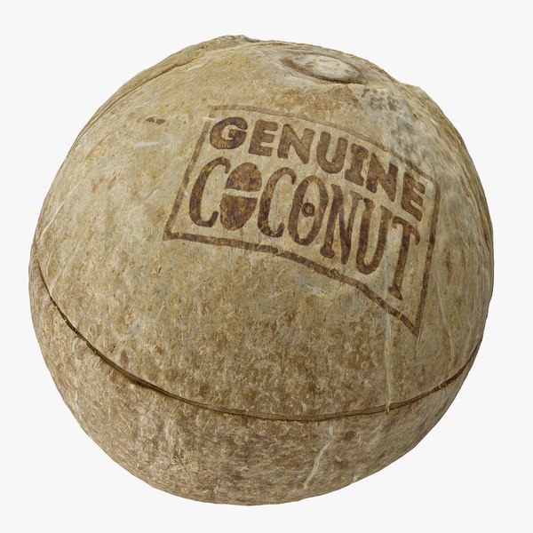 3D model coconut 01