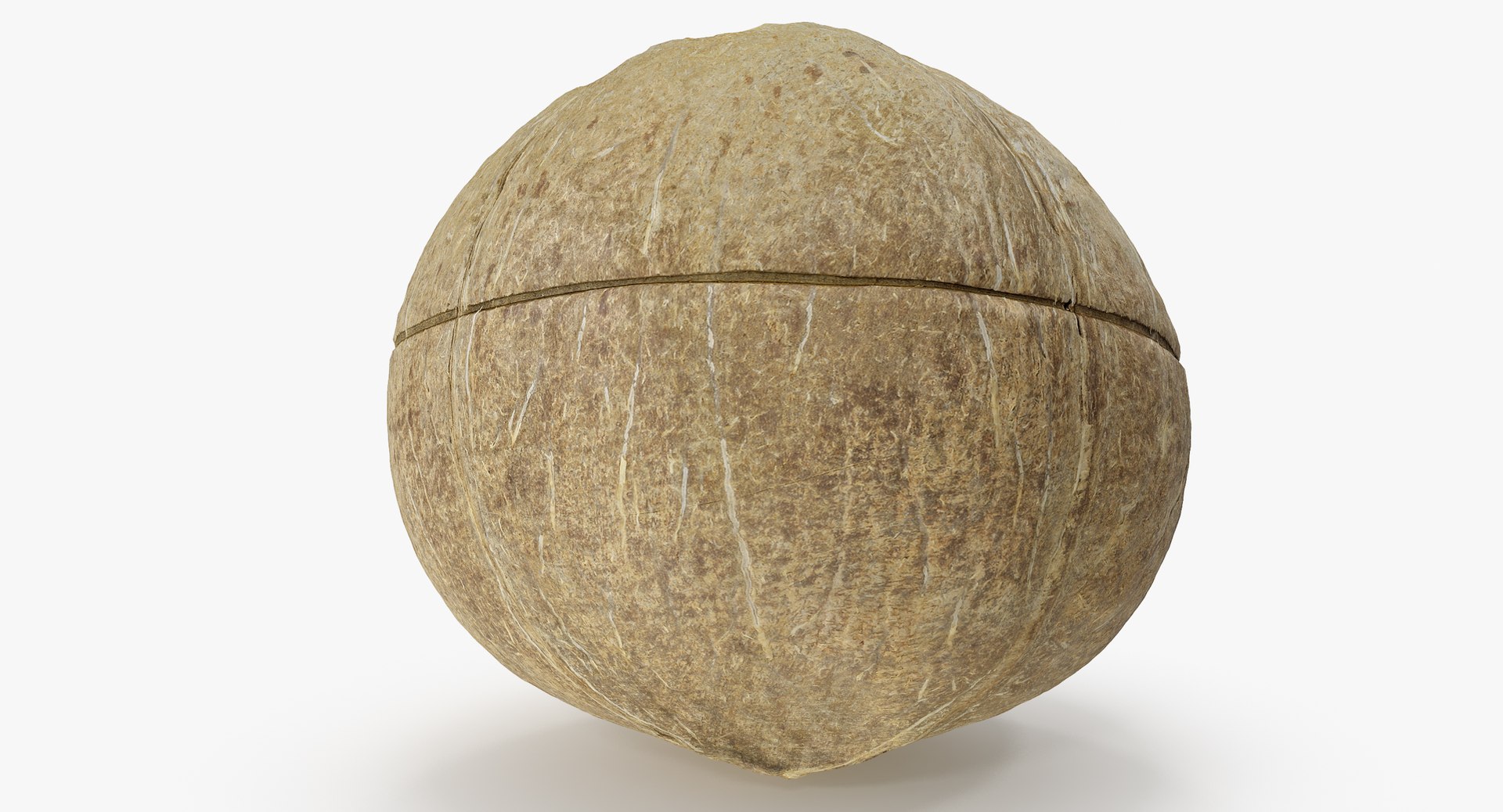 3D model coconut 01 - TurboSquid 1433950