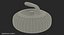 Curling Stone