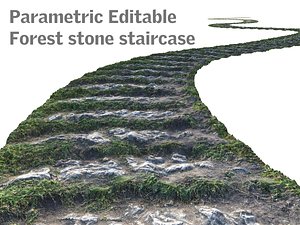3d model of parametric editable forest stone