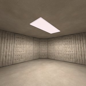 Psychiatric Room