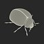 3d model ladybug bug lady