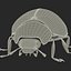 3d model ladybug bug lady