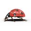 3d model ladybug bug lady
