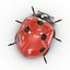 3d model ladybug bug lady