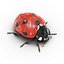 3d model ladybug bug lady