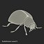 3d model ladybug bug lady