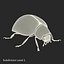 3d model ladybug bug lady