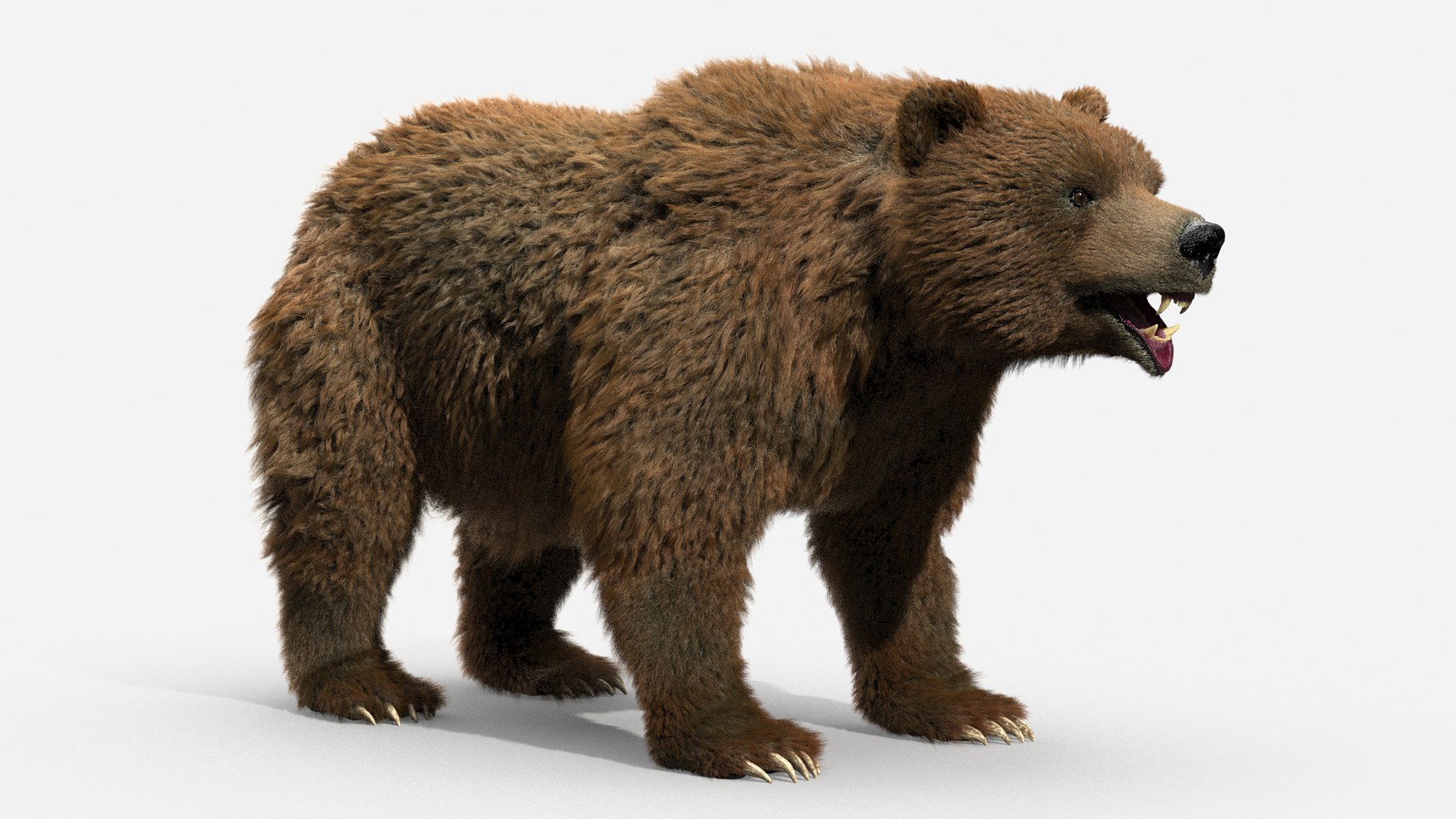 3D brown bear https://p.turbosquid.com/ts-thumb/5v/NLkmqG/EtXDIQoa/10/jpg/1563702300/1920x1080/fit_q87/0054cfd4c55893c9096ecb2dd9a4fe3faae4d66e/10.jpg