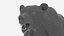 Brown Bear