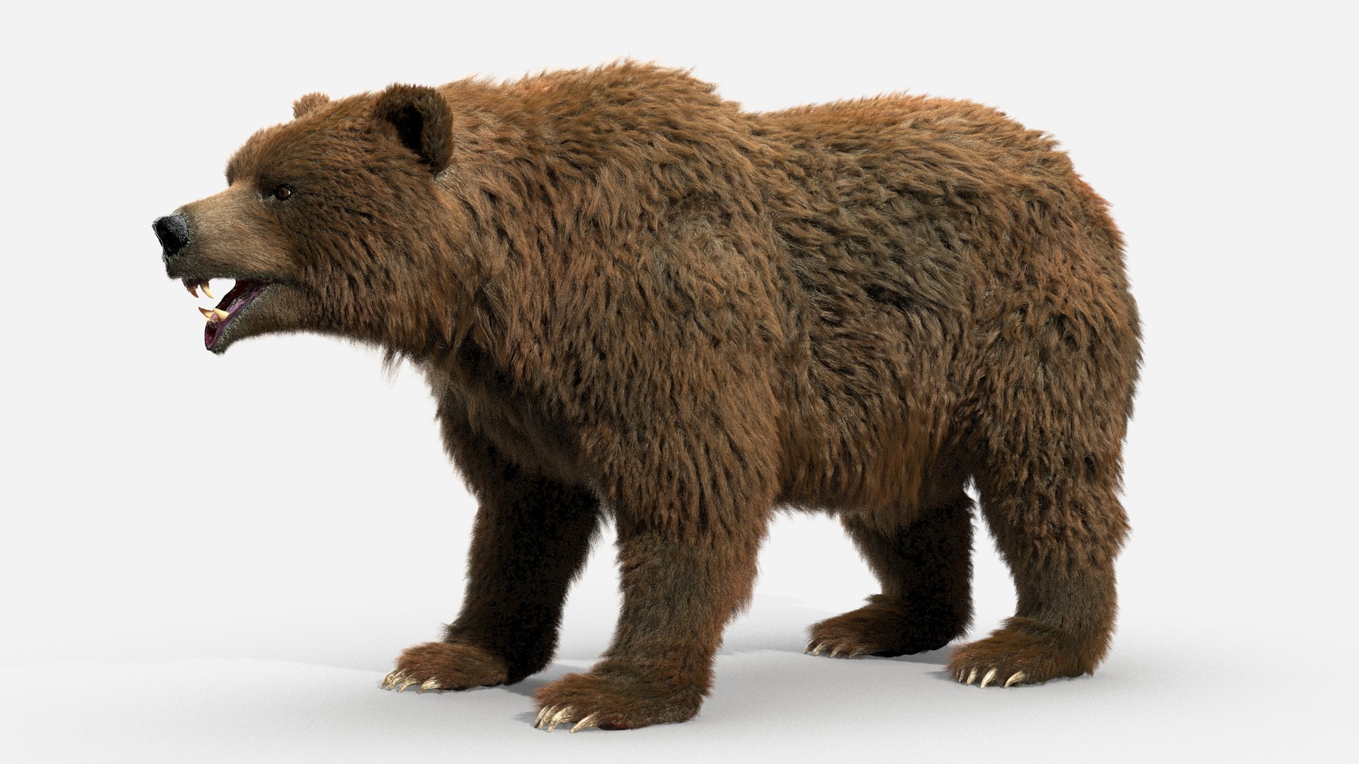 3D brown bear https://p.turbosquid.com/ts-thumb/5v/NLkmqG/LapHaYKD/04/jpg/1563691755/1920x1080/fit_q87/a351f6f785d08d5c59dca2450442f18bb47dec41/04.jpg