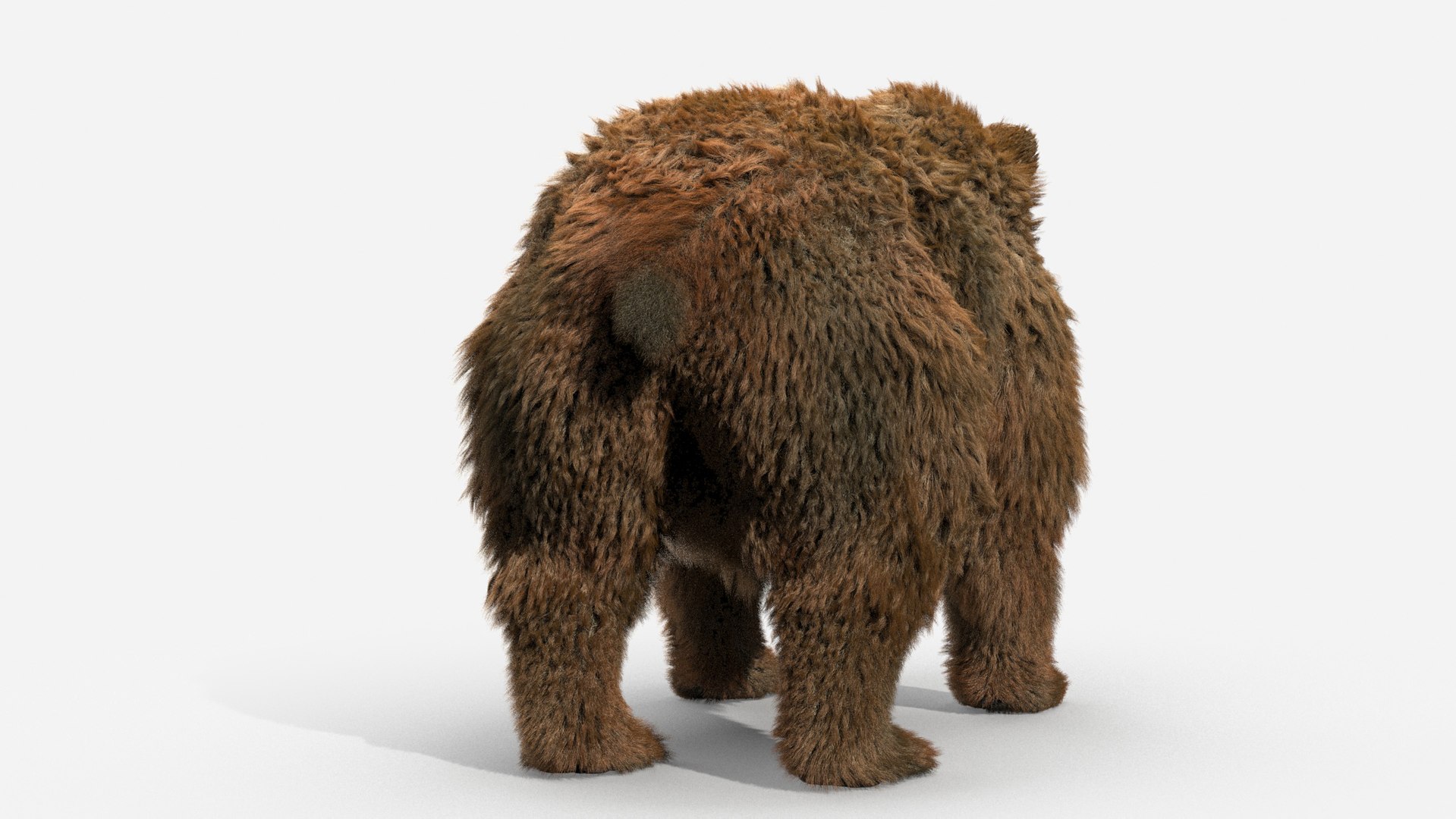 3D brown bear https://p.turbosquid.com/ts-thumb/5v/NLkmqG/M7zADYm5/07/jpg/1563697993/1920x1080/fit_q87/e257fdc0e012fce3219dc6ad1db0e758993b9635/07.jpg