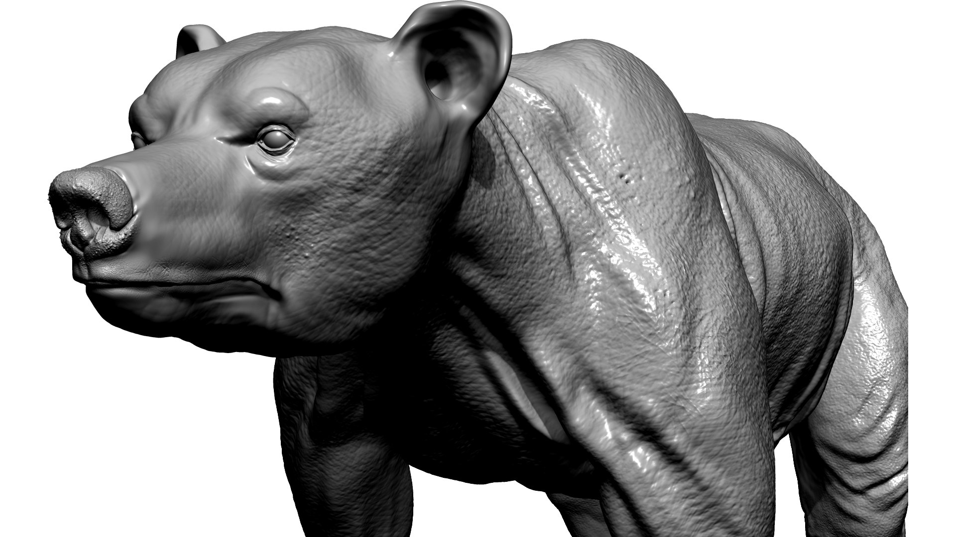 3D brown bear https://p.turbosquid.com/ts-thumb/5v/NLkmqG/WOZaMA2j/z05/jpg/1564330904/1920x1080/fit_q87/ae49ee9fa9d296c17411de551cf82c13b79dff15/z05.jpg
